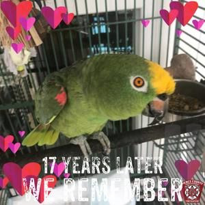 Meet your Posher, Lorrine